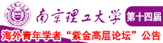 鸡把操逼免费看视频91南京理工大学第十四届海外青年学者紫金论坛诚邀海内外英才！